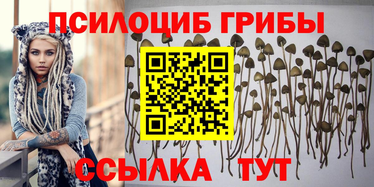 Дятьково  даркнет сайт  Вход с VPN  Галлюциногенные грибы Cubensis 