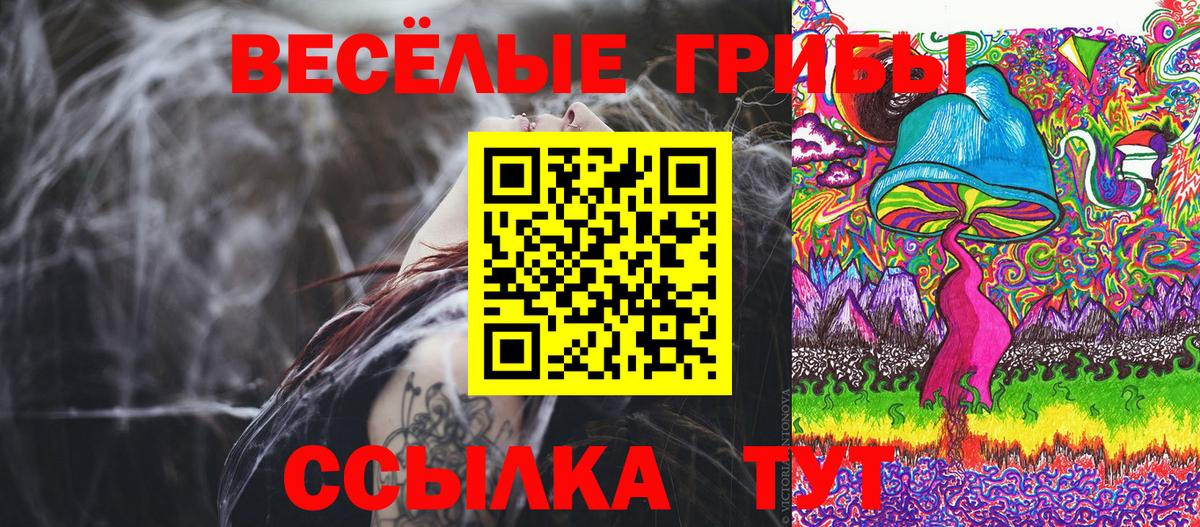 Галлюциногенные грибы MAGIC MUSHROOMS Дятьково